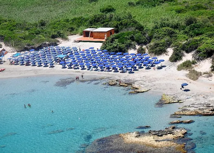 Voi Daniela Essentia