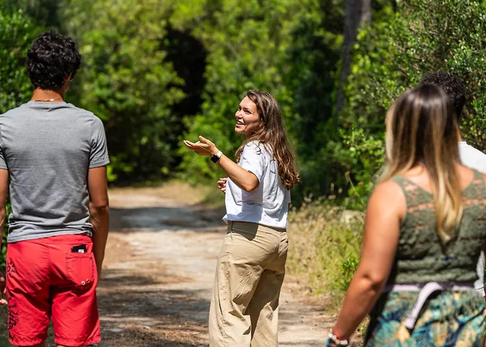 Voi Daniela Essentia 4*